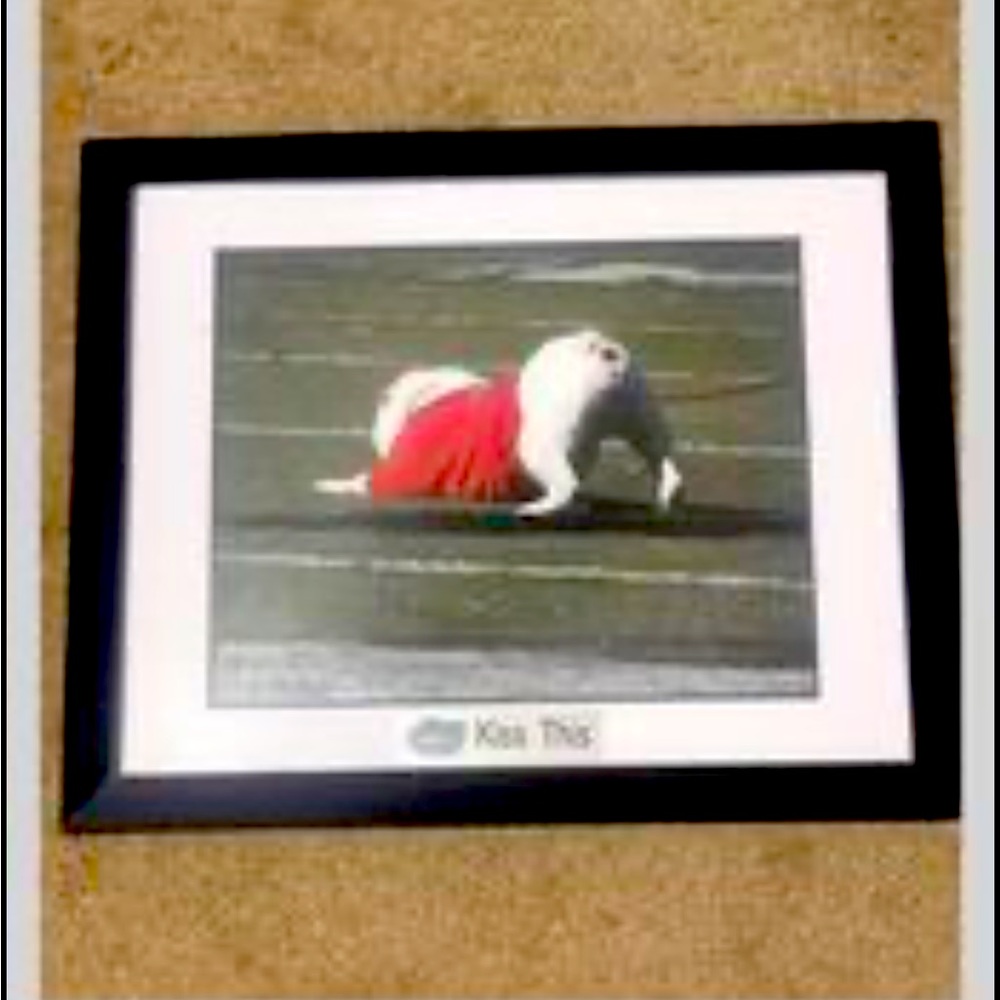 Georgia bulldog framed picture